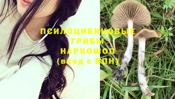 PSILOCYBIN Кулебаки